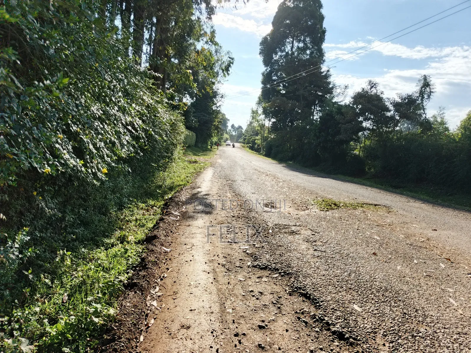Karatina/ Ngandu 1 Acre With a House.