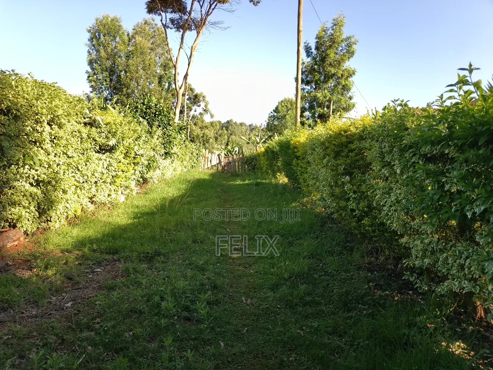 Karatina/ Ngandu 1 Acre With a House.