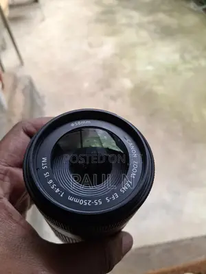 Canon 55-250mm F4-5.6