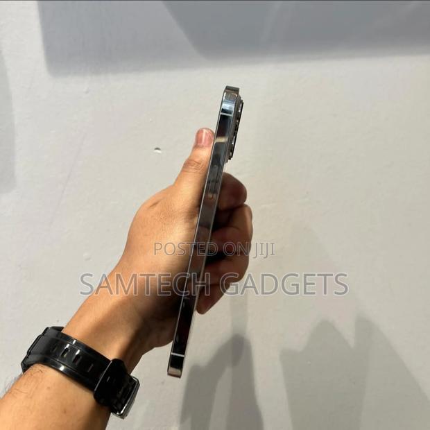 Apple iPhone 13 Pro 256 GB Silver - thumbnail 4