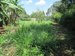 0.25-Acre Plot for Sale in Ruaka - Gacharage Junction Area