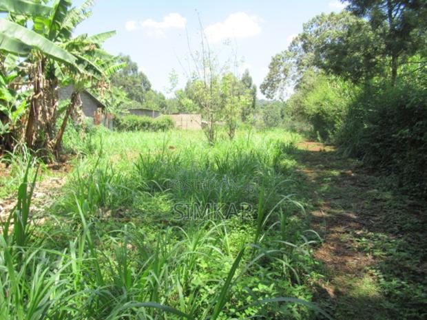 0.25-Acre Plot for Sale in Ruaka - Gacharage Junction Area - thumbnail 9