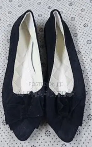 Simple Shallow Mouth Pointed Ladies Shoe Casual Wear