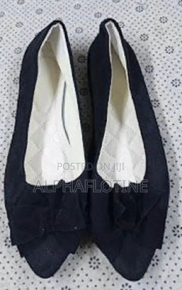 Simple Shallow Mouth Pointed Ladies Shoe Casual Wear