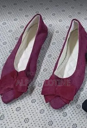 Pointed Toe Flat Closed Toe Ladies Shoe