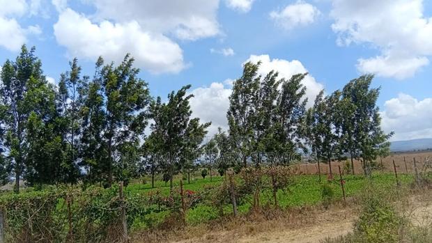 3-Acre Goldmine in Kinanie Kwamboo Area – Kshs. 2.1m Per Acre Only!