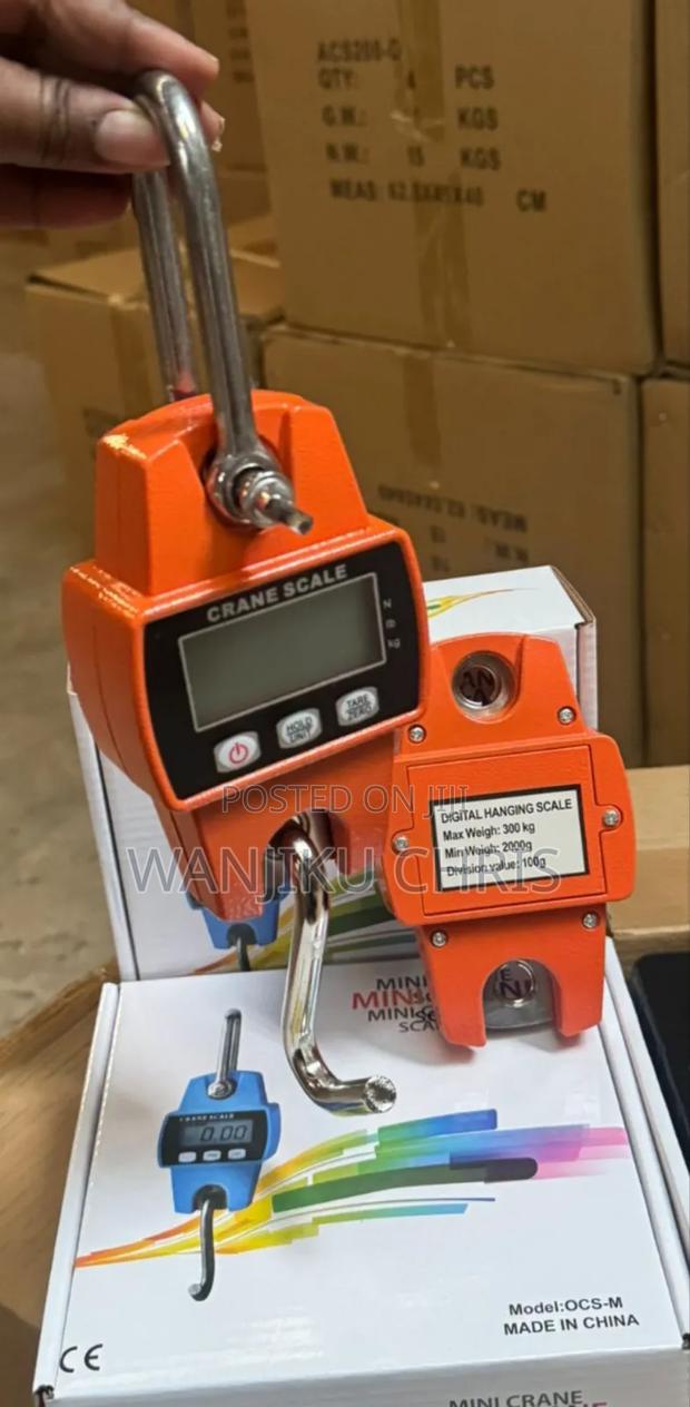 Mini Crane Weighing Scale 300kg Max/300 Max Weight Weighing Scale