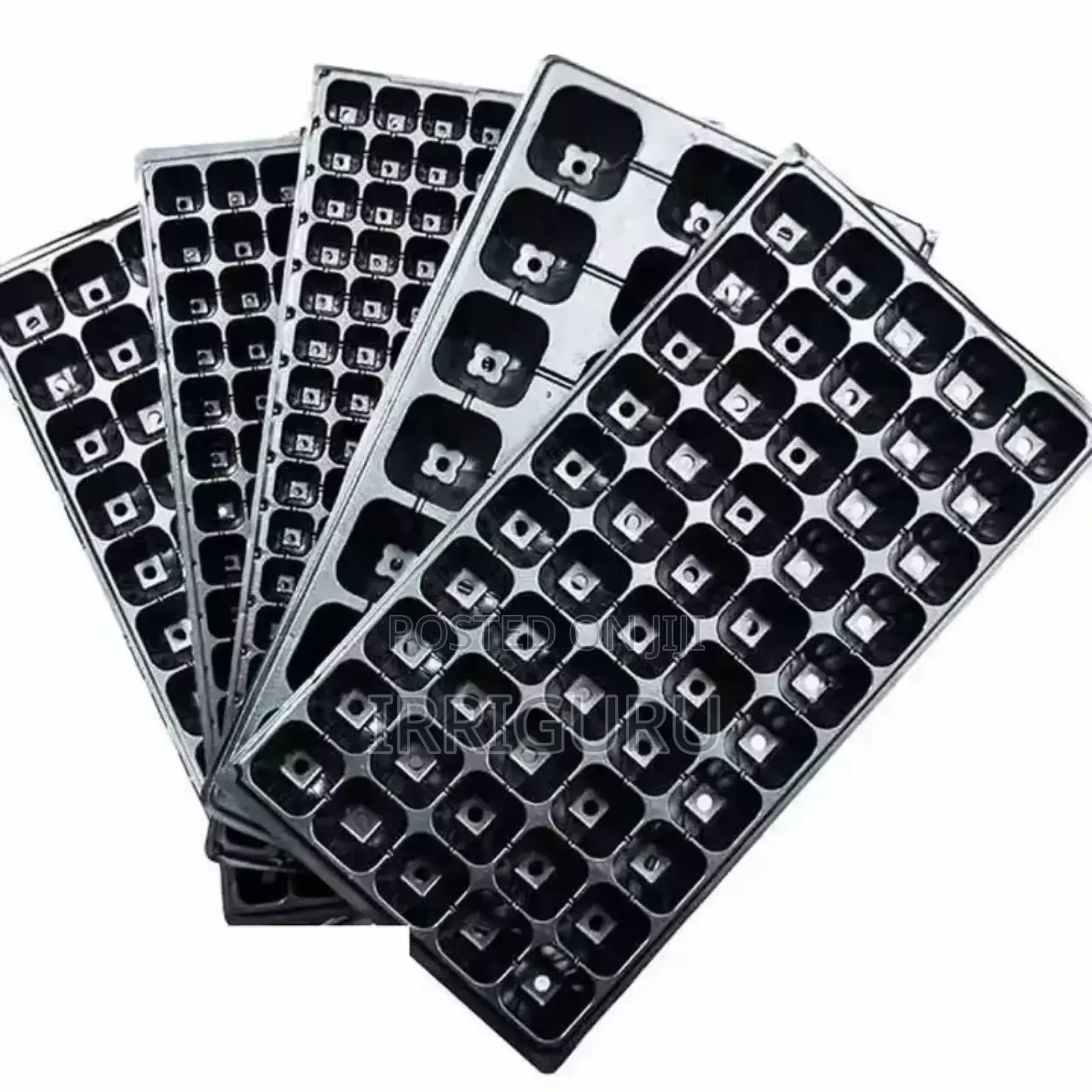 Seed Trays