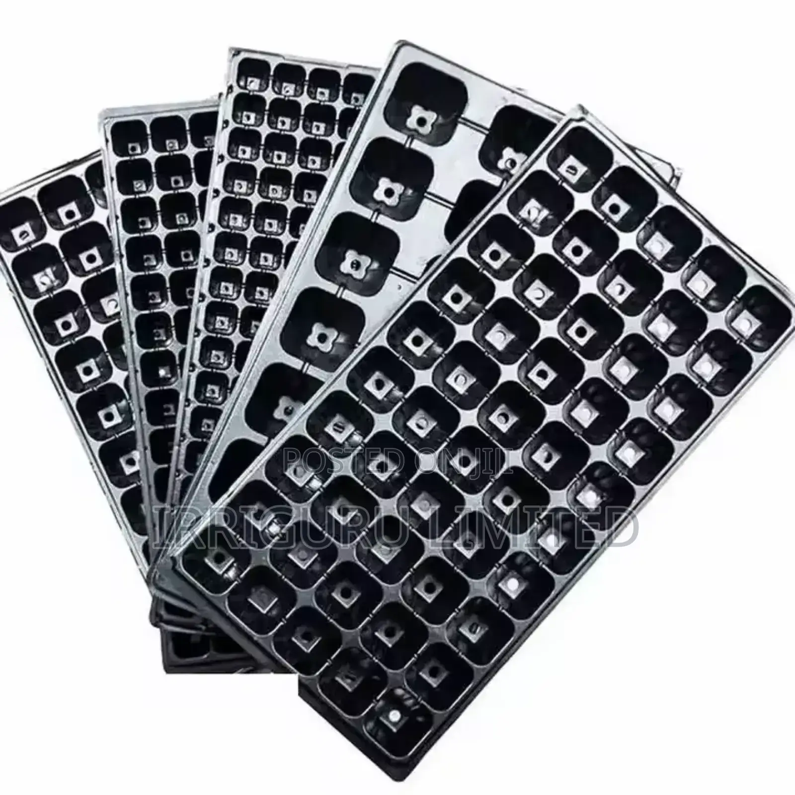 Seed Trays