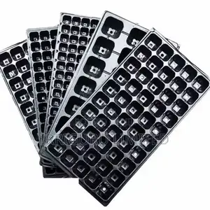 Seed Trays
