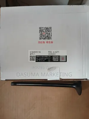Weichai Intake Valve 