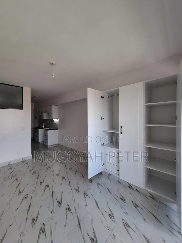 1bdrm Bedsitter in Dagoretti Corner for rent - main view
