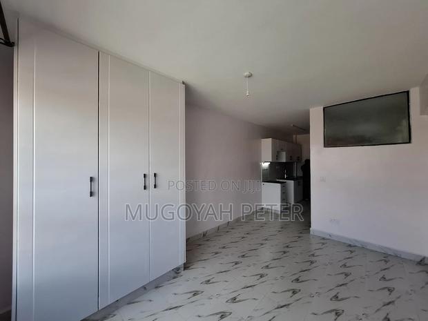 1bdrm Bedsitter in Dagoretti Corner for rent - thumbnail 8