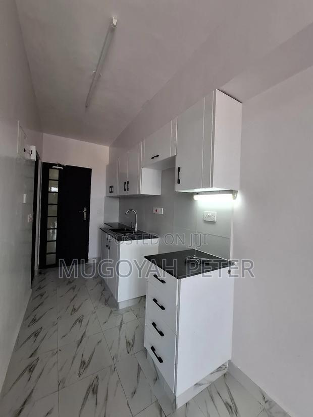 1bdrm Bedsitter in Dagoretti Corner for rent - thumbnail 10