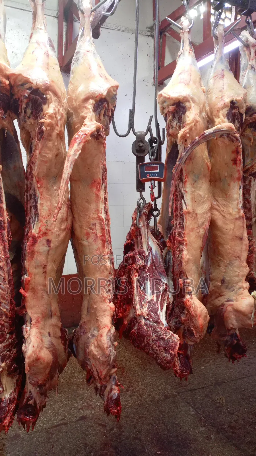 Beef, Stake, Mince Meat, Kichwa Ya Ng'ombe