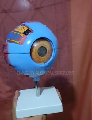 Giant Eye Model - main view