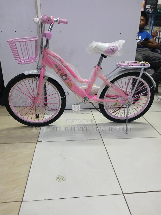 20-Inch Pink Girls' Bike With Basket Rear Carrier | Ages 6-10