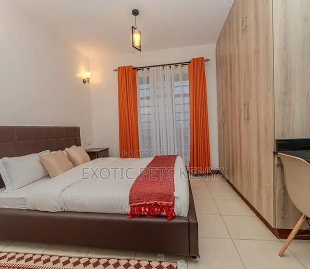 Furnished 1bdrm Bedsitter in South Suites for rent