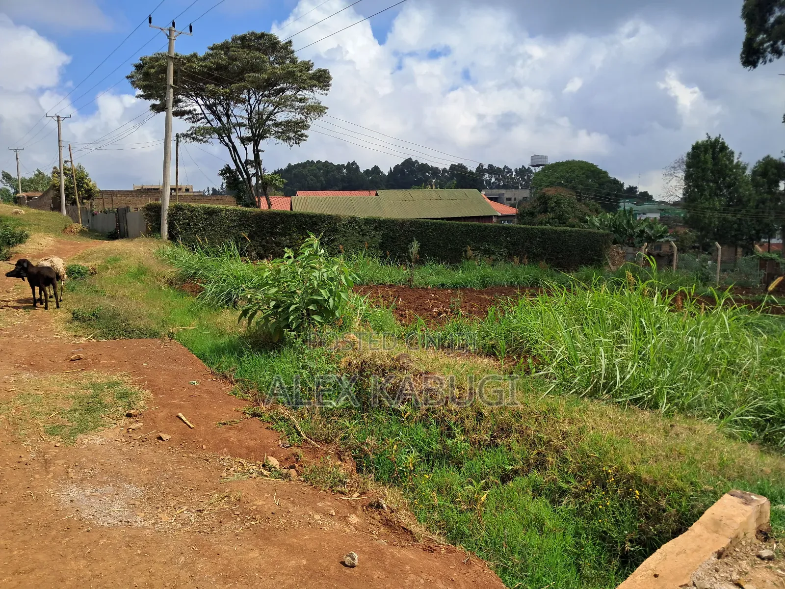 Plot for Sale Zambezi