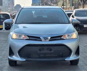 Toyota Corolla Fielder 2019