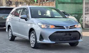 Toyota Corolla Fielder 2019
