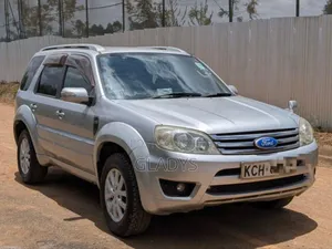 Ford Escape 2009 Silver