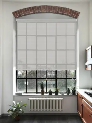 Light Filtering Sunscreen Blinds