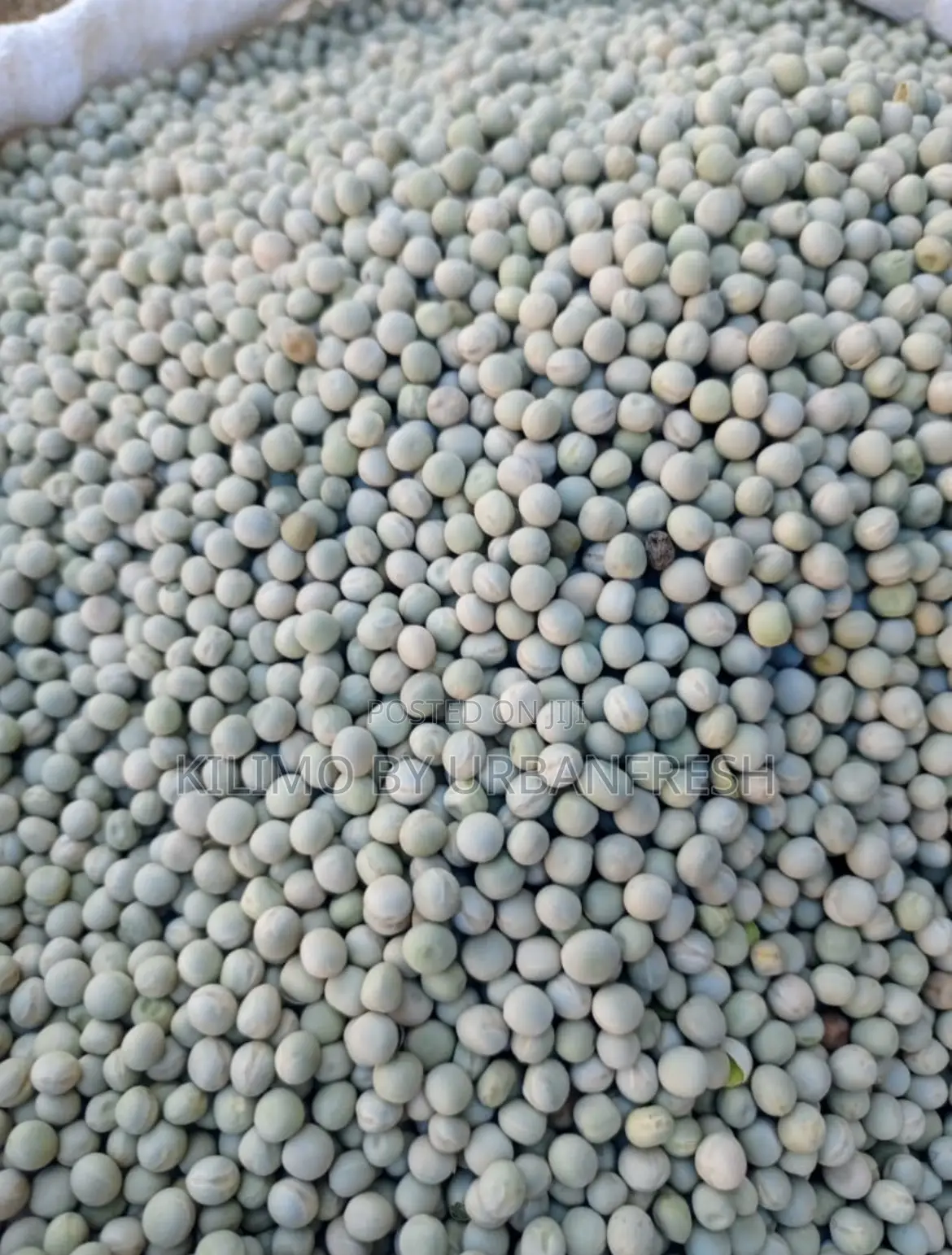 Grano Planting Peas Seeds. 10 KGS
