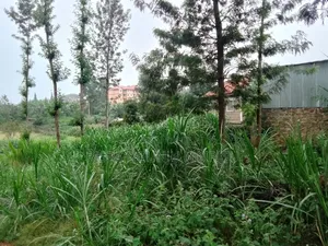 Plot for Sale Karatina