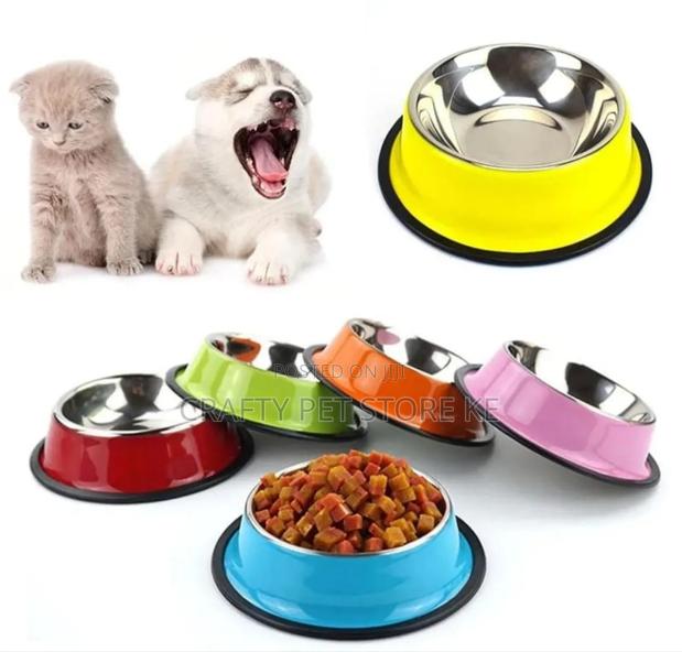 Pet Feeding Bowls - main view