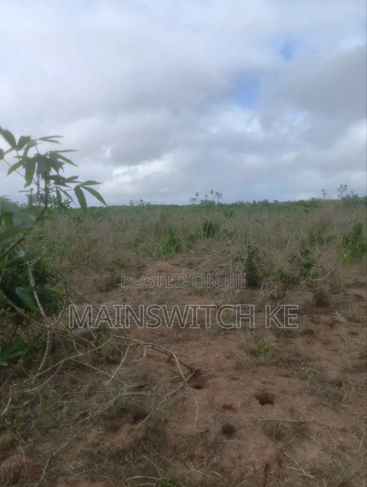 Prime 40-Acres Block