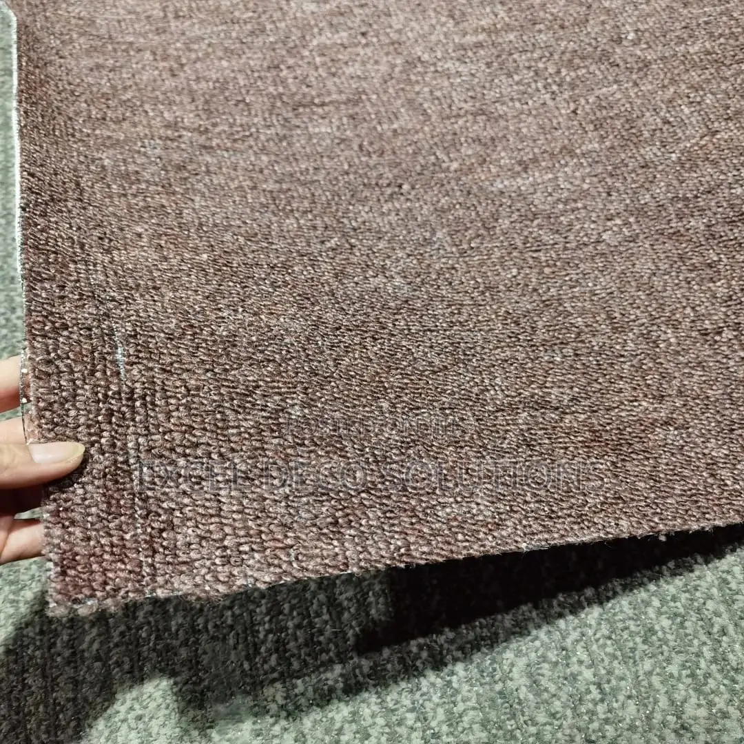 Delta Brand Wall to Wall Carpet _ Long Lasting