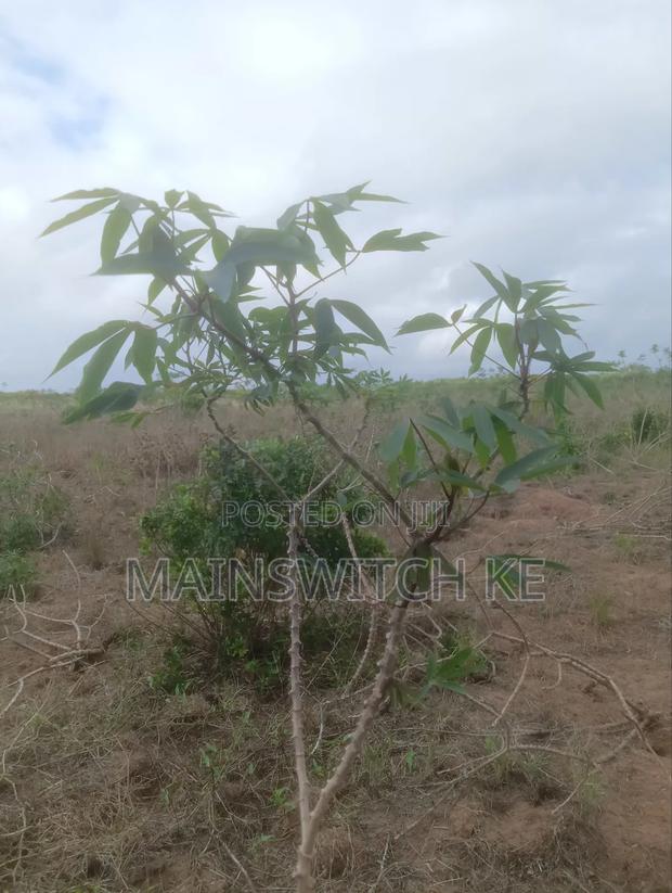 Prime 40-Acres Block - thumbnail 2
