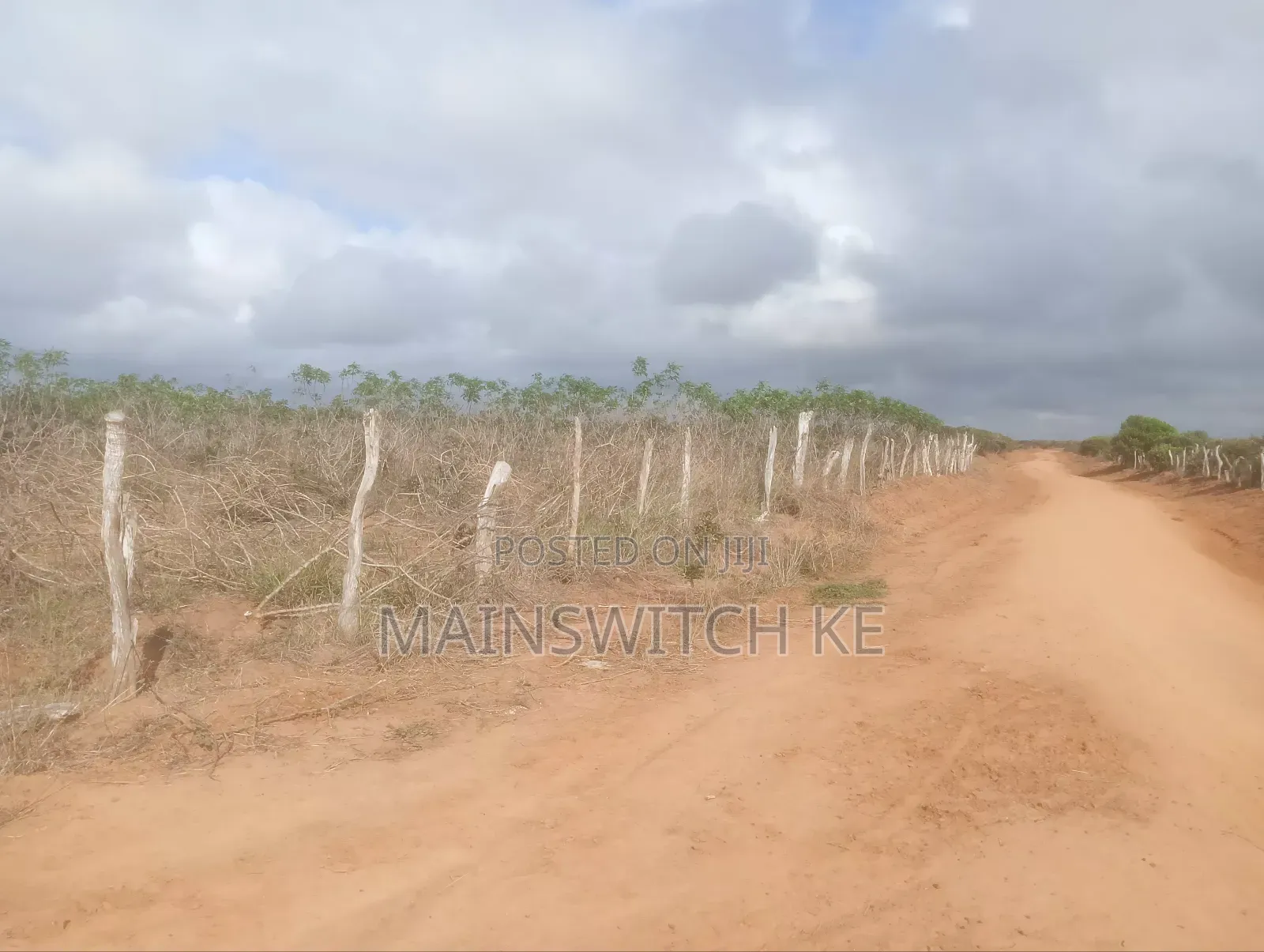 Prime 40-Acres Block