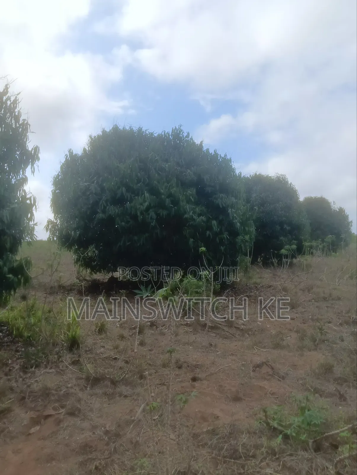 Prime 40-Acres Block