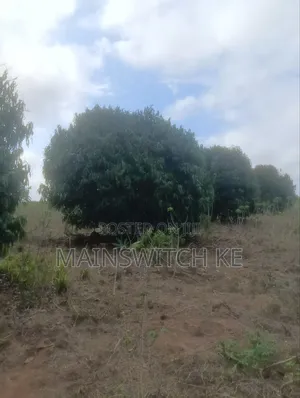 Prime 40-Acres Block