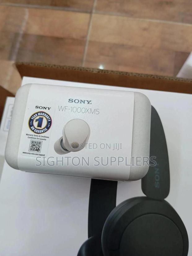 Sony Wf-1000xm5 Wireless Bluetooth Noise Canceling Earbuds - main view