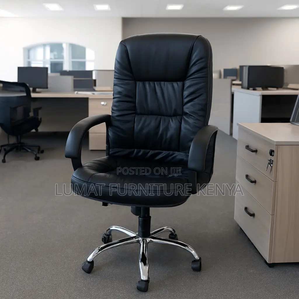 Ergonomic Director’S Chair