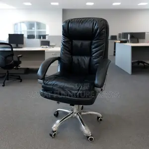 Ergonomic Director’S Chair