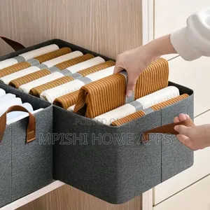Foldable Clothe Storage Organizer
