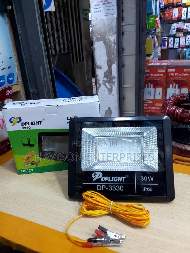 30wt Dc Flood Light