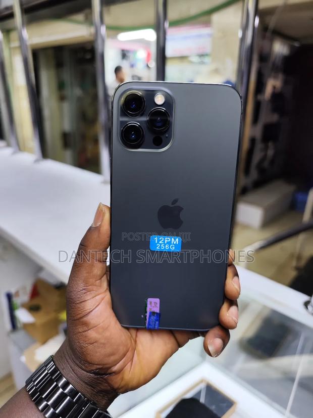Apple iPhone 12 Pro Max 256 GB Gray - thumbnail 3