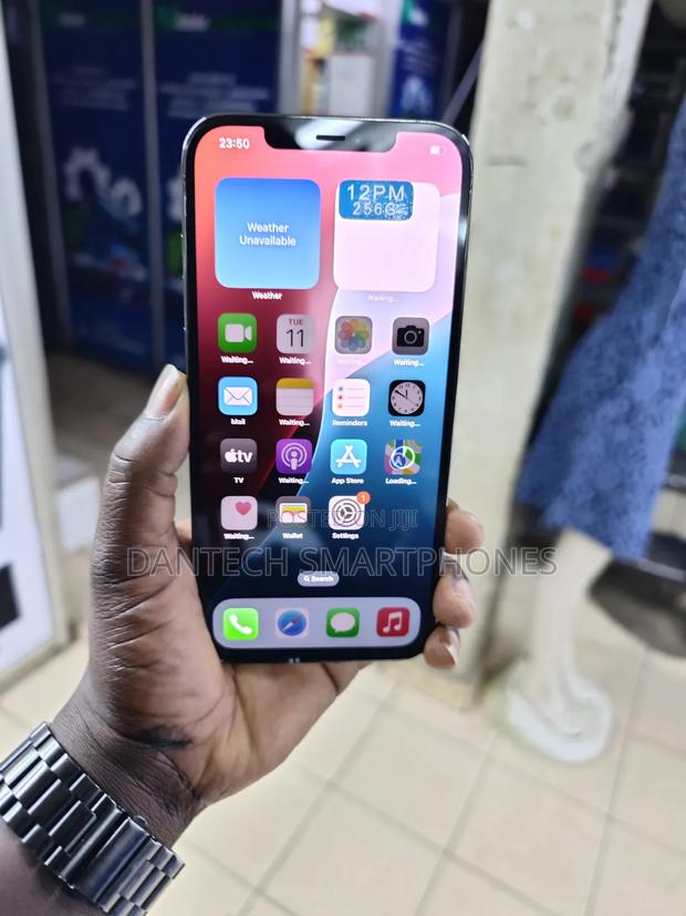Apple iPhone 12 Pro Max 256 GB Gray - thumbnail 4
