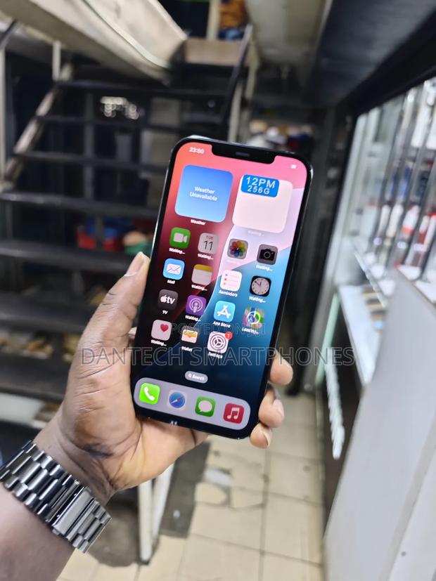Apple iPhone 12 Pro Max 256 GB Gray - thumbnail 5