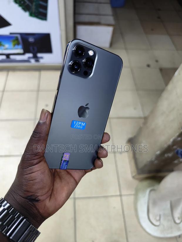 Apple iPhone 12 Pro Max 256 GB Gray - thumbnail 6