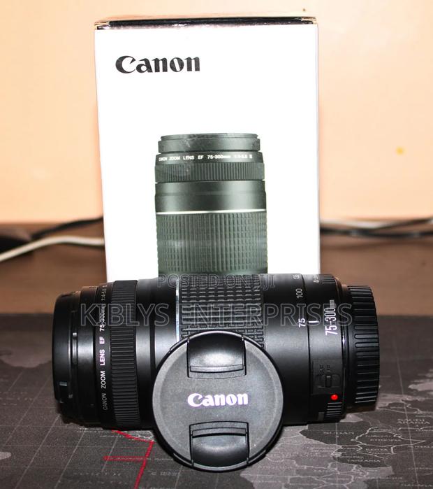 Canon Ef Lens 70-300mm F/4-5.6 Iii {Telephoto}