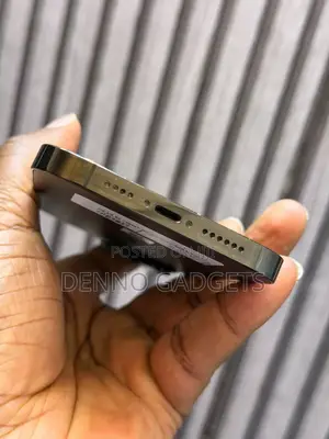 Apple iPhone 14 Pro Max 256 GB Gray