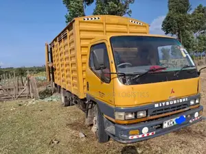 FRR/Fh Lorries for Errands and Transport Are Available