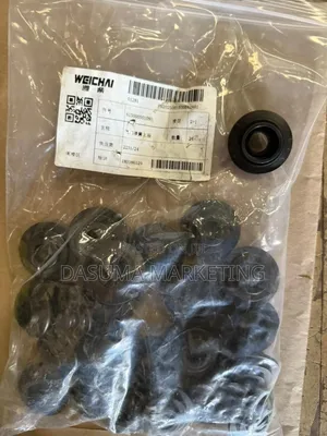 Weichai Upper Seat Intake Valve Spring (2-Valve Engine)