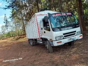 Fh /Lorries for Transportation and Logistics Are Ready